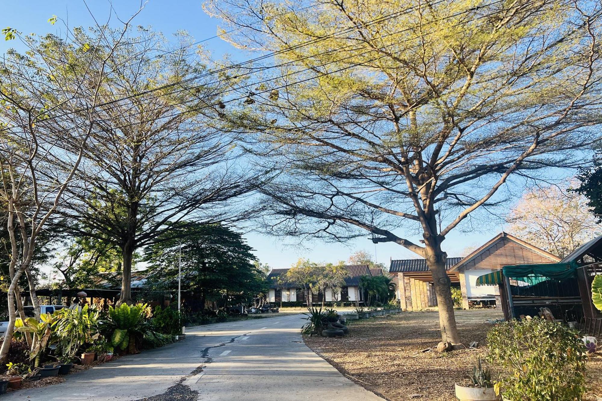 Ruentara Resort & Villa Buri Ram Eksteriør billede